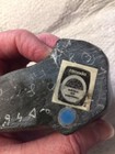 Inuit Walrus Carving Small — photo 6