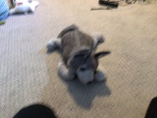 stuffed animal wolf