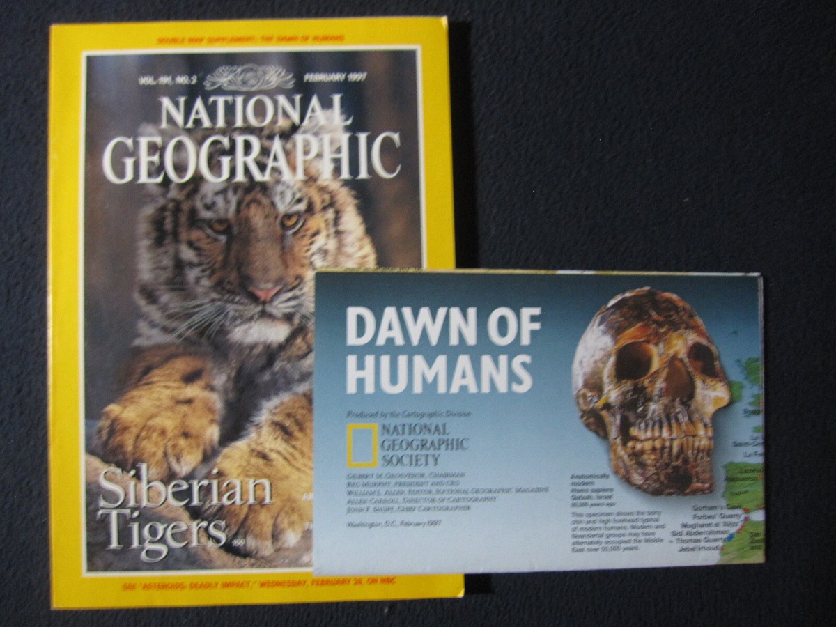 National Geographic February 1997 Siberian Tiger, Under New York