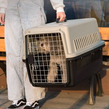 XL Portable Pet Carrier Cat Puppy Travel Cage Dog Carry Basket Transporter Box