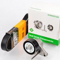 Conti 6PK1070 Keilrippenriemen + Spanner FüR Citroen C2 C3 Peugeot 1007 CitroËN