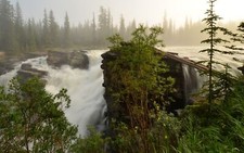 Landscape waterfall nature water trees mist grass plants Custom Gaming Mat Desk