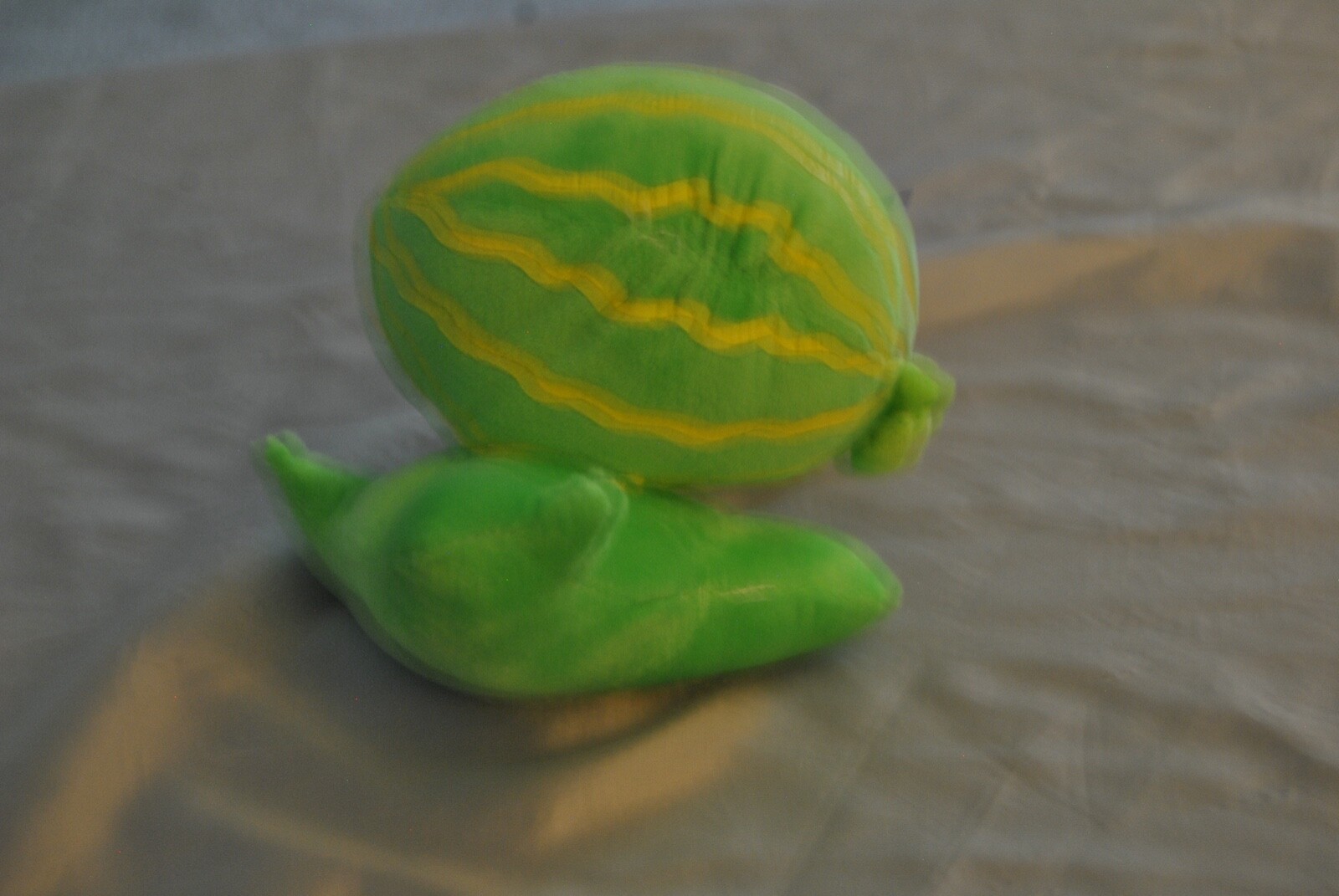 Picture 4 of 12
