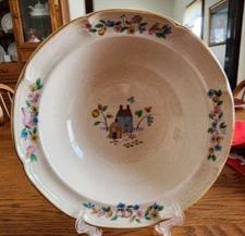 Heartland Vegetable Bowl (s) 9" International China Co Stoneware Tan Pink Blue !