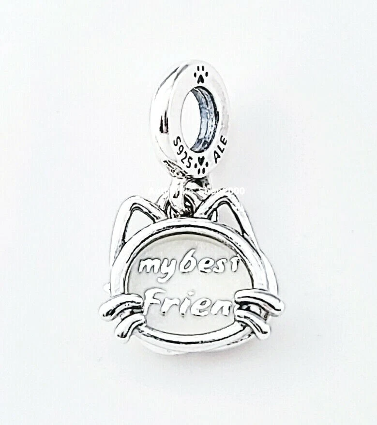 1 Stainless Steel Cat Charm SC6880 