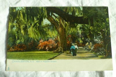 W355 CHARLESTON South Carolina Spaziergang in Magnolia Gardens Postkarte 1910er