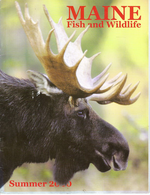 Maine Fish & Wildlife Magazine Summer 2000 Golden Eagles Rangeley Wildlife Park