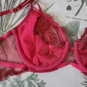 $176 Lise Charmel Tellement Red Embroidered Lace Bra Small *No Size Tag*