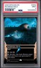 2025 MTG EDGE OF ETERNITIES: STELLAR SIGHTS BORDERLESS PETRIFIED FIELD PSA 9