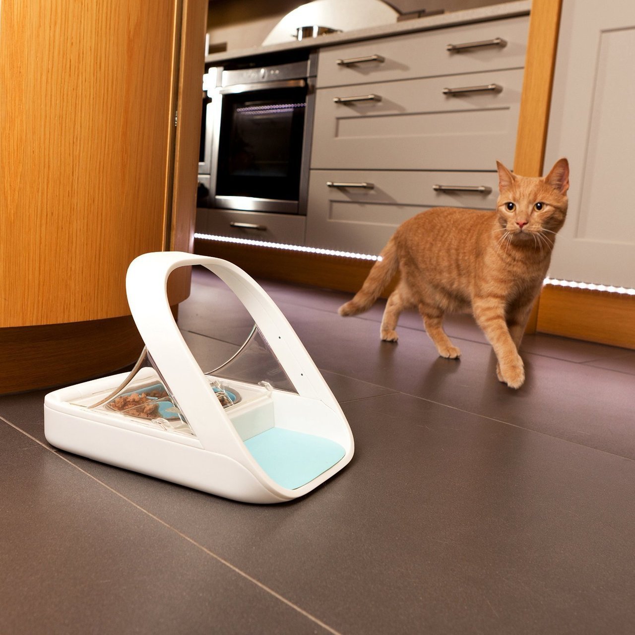 microchip cat feeder ebay