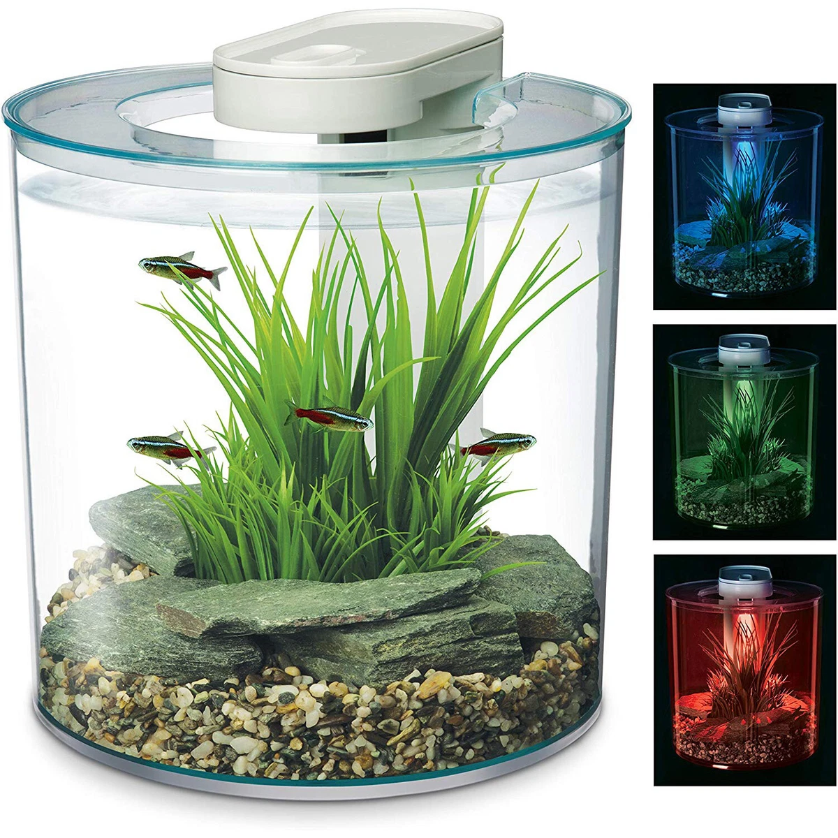 Marina 360 Aquarium LED Remote 4 Colours Fish Tank Filter Beginner Kids 10L  Nano