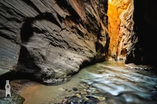 The Narrows - Zion National Park, Utah - Fine Art Photography Prints