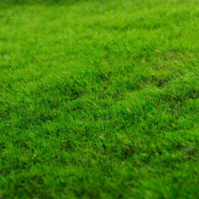 20*25cm Artificial Lawn Carpet Grass Mat DIY Architectural Layout High Quality