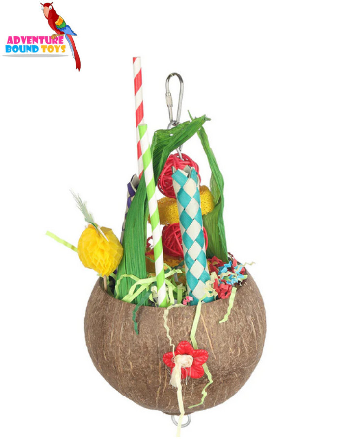 ADVENTURE BOUND BEACH BUM COLADA COCONUT SMALL MEDIUM BIRD PARROT CAGE TOY
