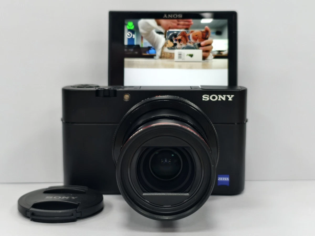 Sony Cyber-shot DSC-RX100 V Less than 3x Optical Zoom Digital