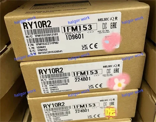 🌟🌟1PCS NEW RY10R2 VIA DHL/UPS #YY✈️✈️