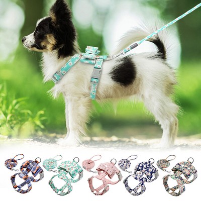 beautiful dog harness