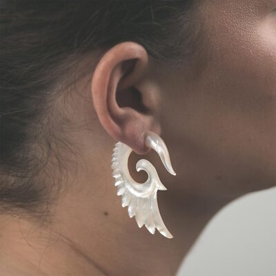 Corne Faux Jauge Pince Faux Oreille Prise Écarteurs