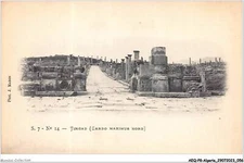 AEQP8-ALGERIA-0679 -timgard - thistle maximus nord