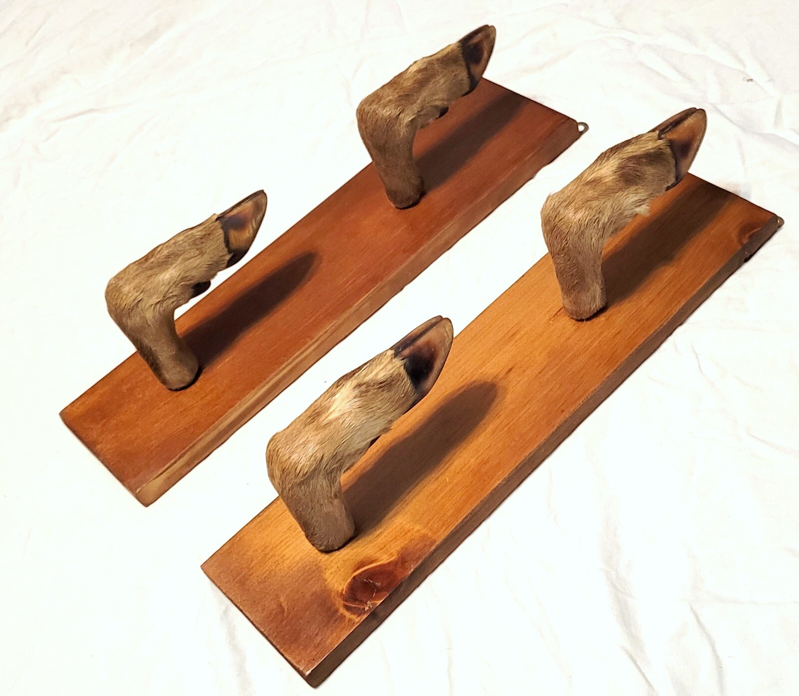 Pair 1910s Vintage Red Cedar Taxidermy Deer Hoof Gun Coat Hat Racks eBay