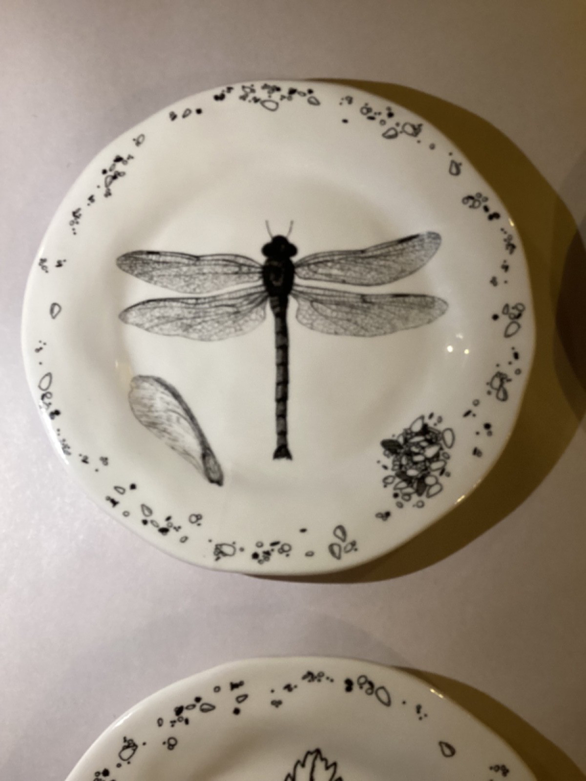 4 Creative Co-op 6”  Insect Plates in Excellent Condition