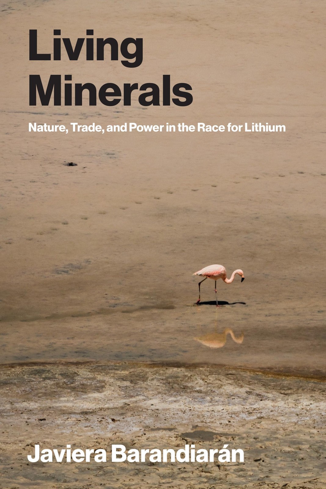 Living Minerals: Nature, Trade, and Power in the Race for Lithium (Urban and Industrial Environments) - Image 4