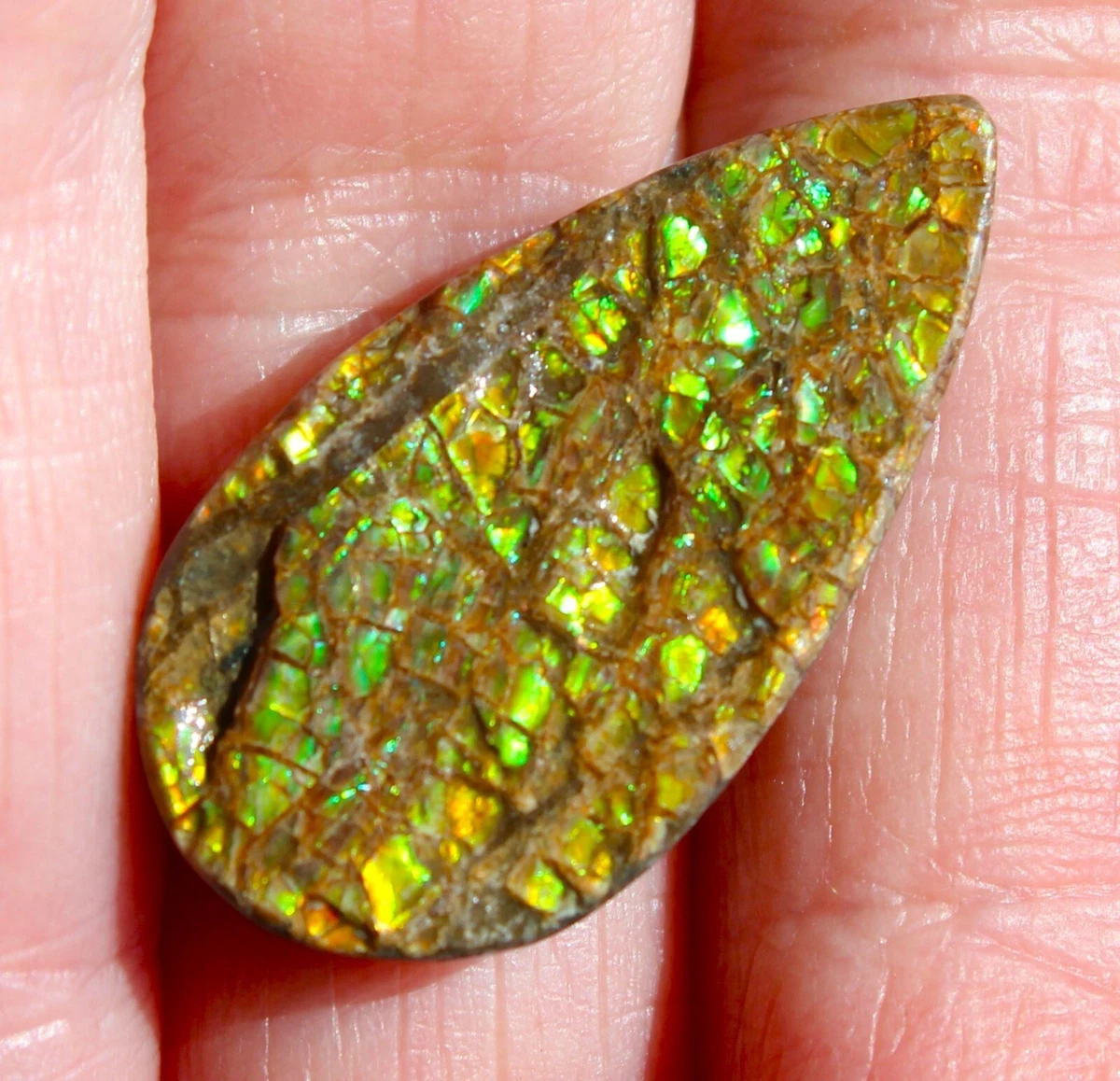 Pendentif Ammonite – Pierre brute