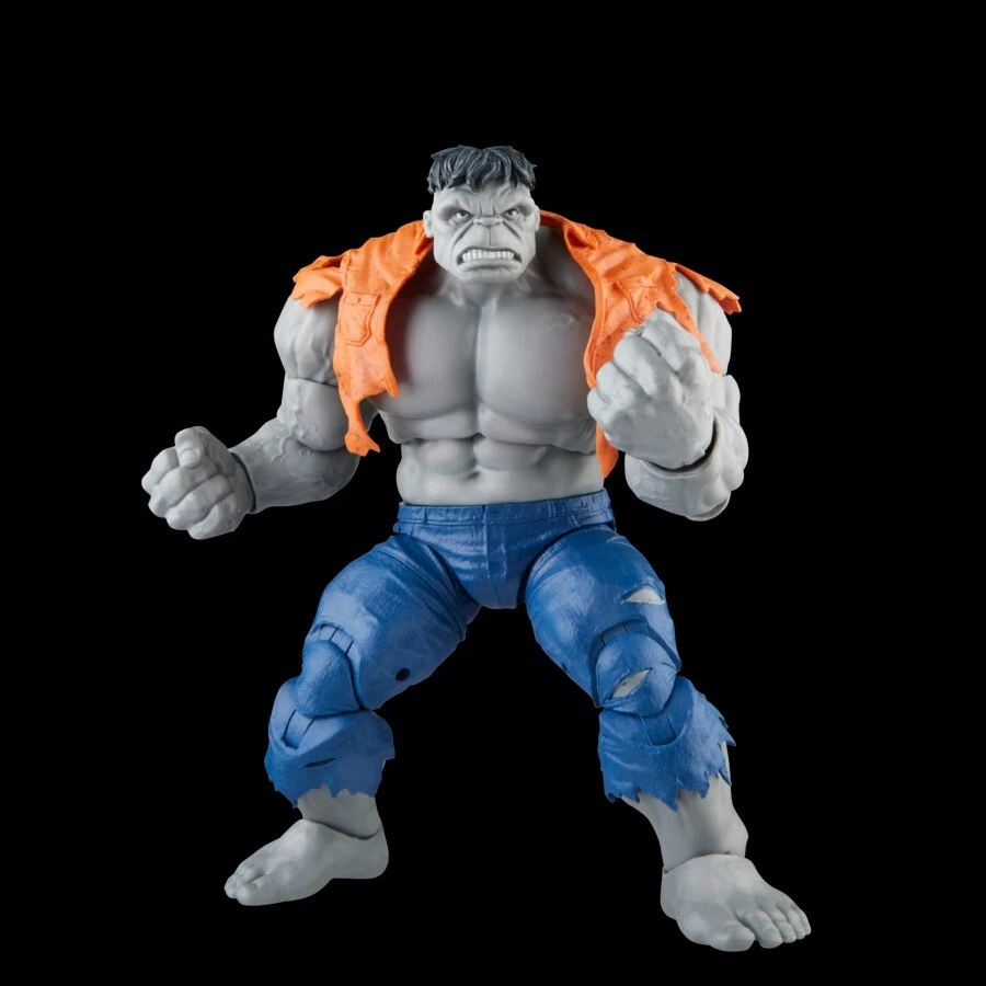 Marvel Legends - Avengers - Double-pack GRAY HULK & DR. BRUCE BANNER - HASBRO - Photo 3/4