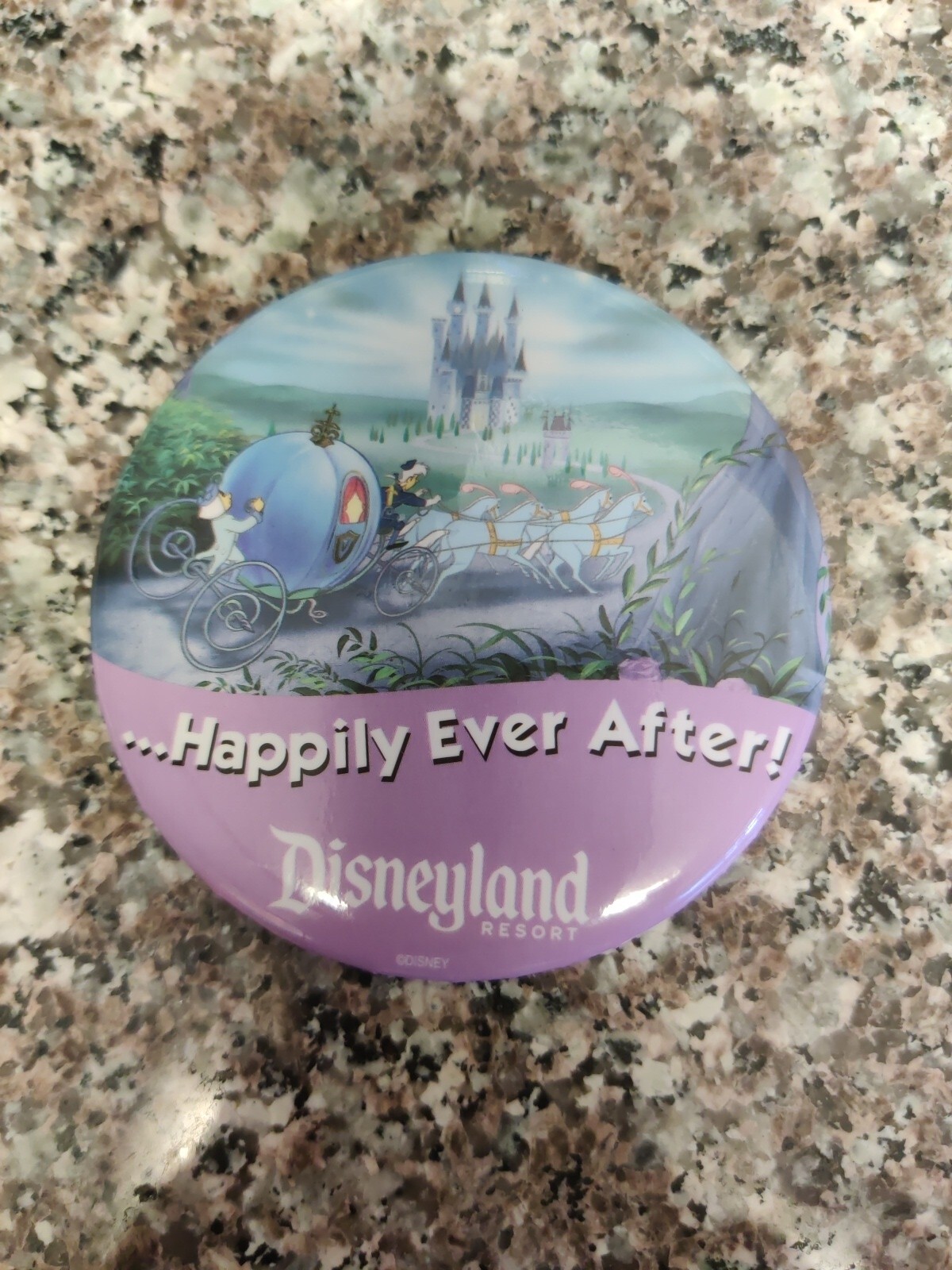HAPPILY EVER AFTER DISNEYLAND PIN PINBACK 3" BUTTON Disney Resort 3" vtg 