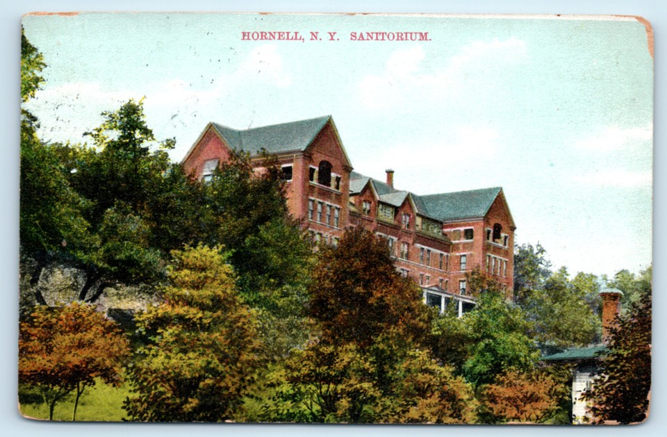 Sanitorium Hornell New York Postcard Building eBay