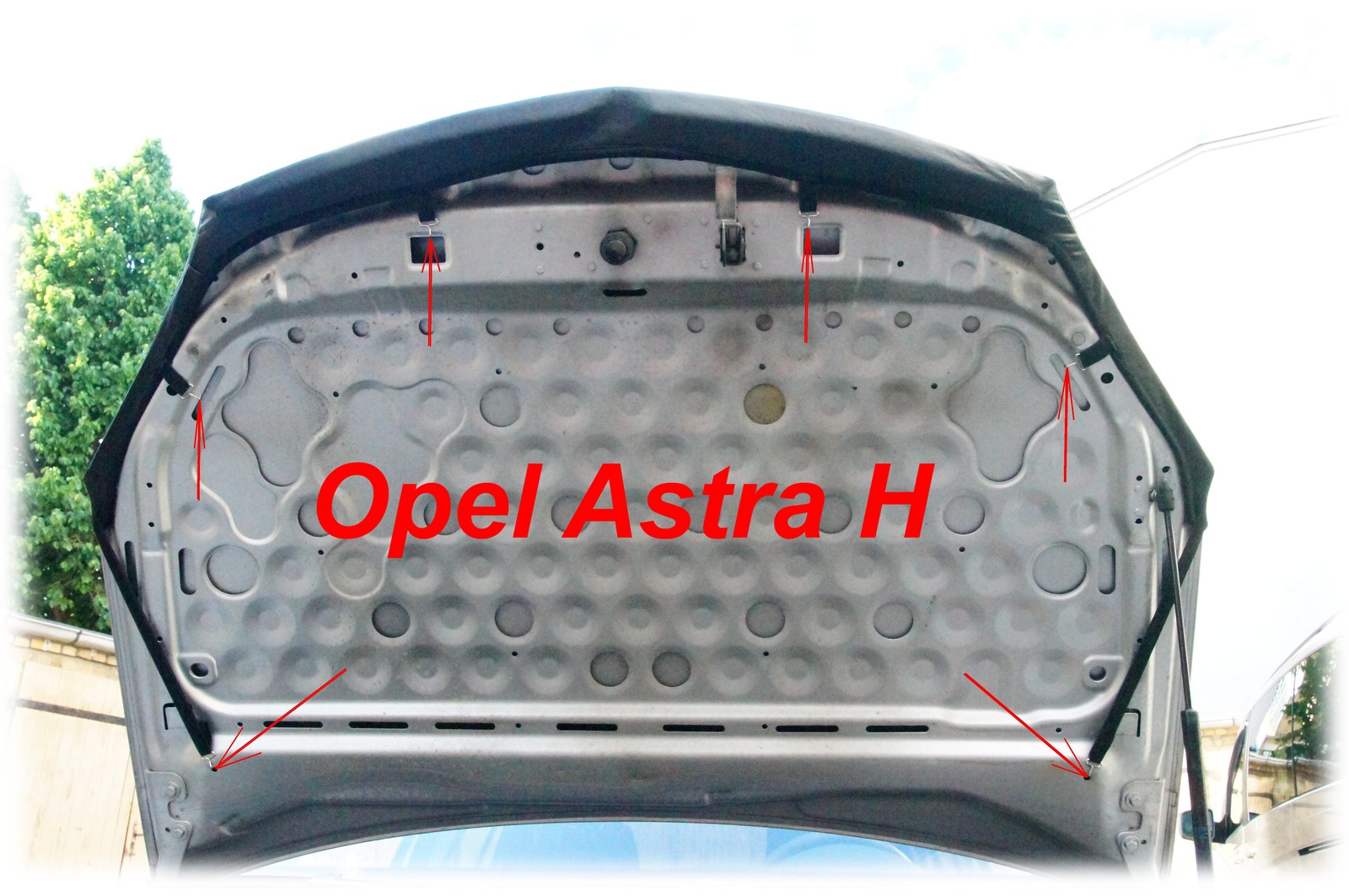 Für Vauxhall Opel Vectra B 1995-2002 Gang Gamasche Echt Leder Rot Naht