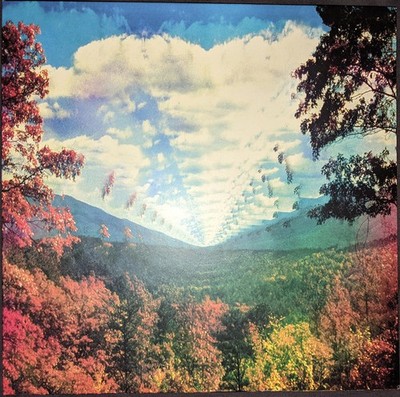 Tame Impala - Innerspeaker (2010   2020), Lim. special anniversary box ed. 4LP!