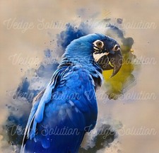 Digital Oil Painting 