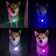 Rechargeable Lights LED Dog Collar Clip on Light USA Vet Owned