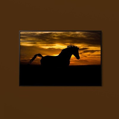 The Yellowstone Collection - Sunset Shadow - Art Print on Paper or Canvas