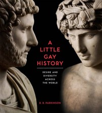 A Little Gay History: Desire and Diversity Across the World - VERY GOOD