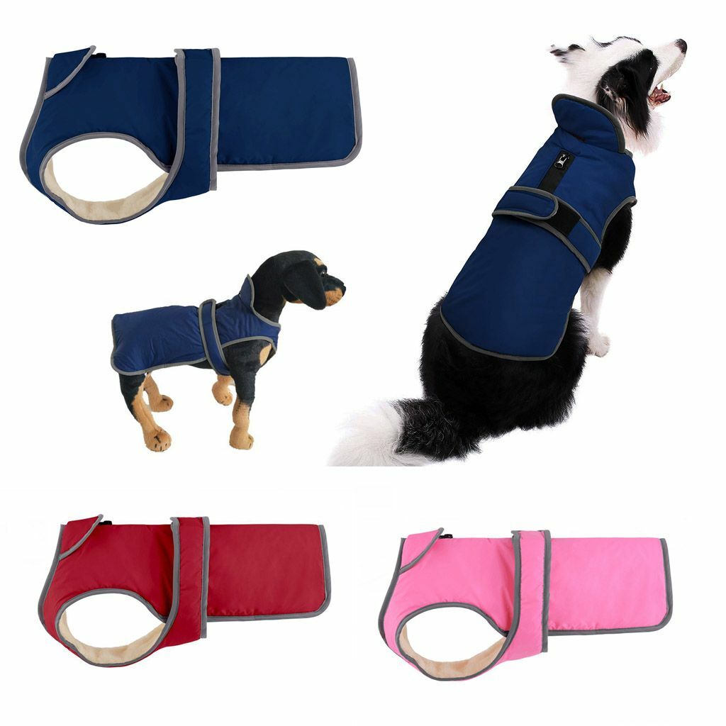 anti static dog jacket