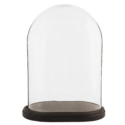 Glasaufsteller Glocke Glas oval Cloche auf dunklem Holzsockel Aufsteller 42 cm