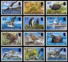 TRISTAN DA CUNHA 2025 BIRDS