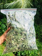 Calea Zacatechichi Mexican Dream Herb Lucid D...