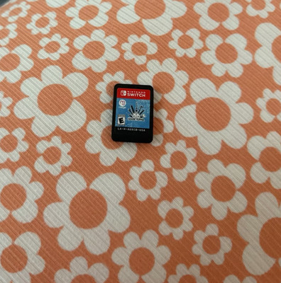 Nintendo switch house flipper