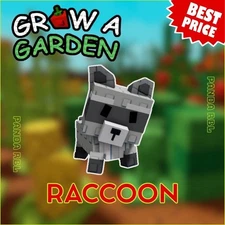 Raccoon - Grow A Garden | GAG | Cheapest