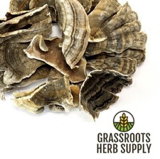 Turkey Tail Mushroom, Whole Trametes versicolor