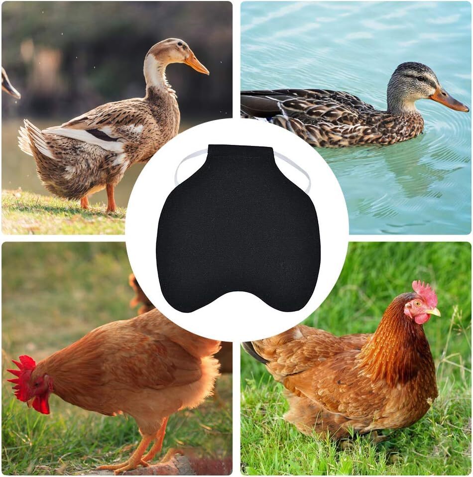 Hen Chicken Apron Poultry Care Pet Feather Protection Fixer Back Wing Protector eBay
