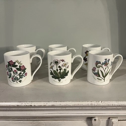 Vintage Portmeirion Botanic Garden Mug Set of 6 Floral Designs