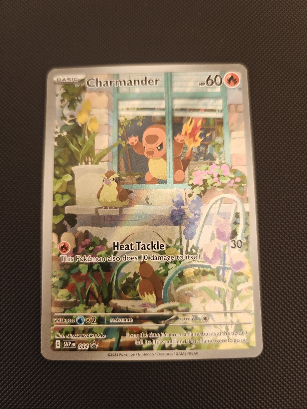 ポケモンカードゲーム Charmander SVP 044 Promo PSA 10 PSA 10 Pokemon Charmander SVP 044 Obsidian Flames ETB Holo Black