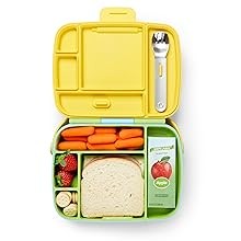 Lunch Bento Box for Kids and Toddlers, Includes Stainl Steel