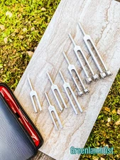 7PC Medical Diagnostic Tuning Forks Kit Tunning Tuner Tone Orthopaedic Instrume