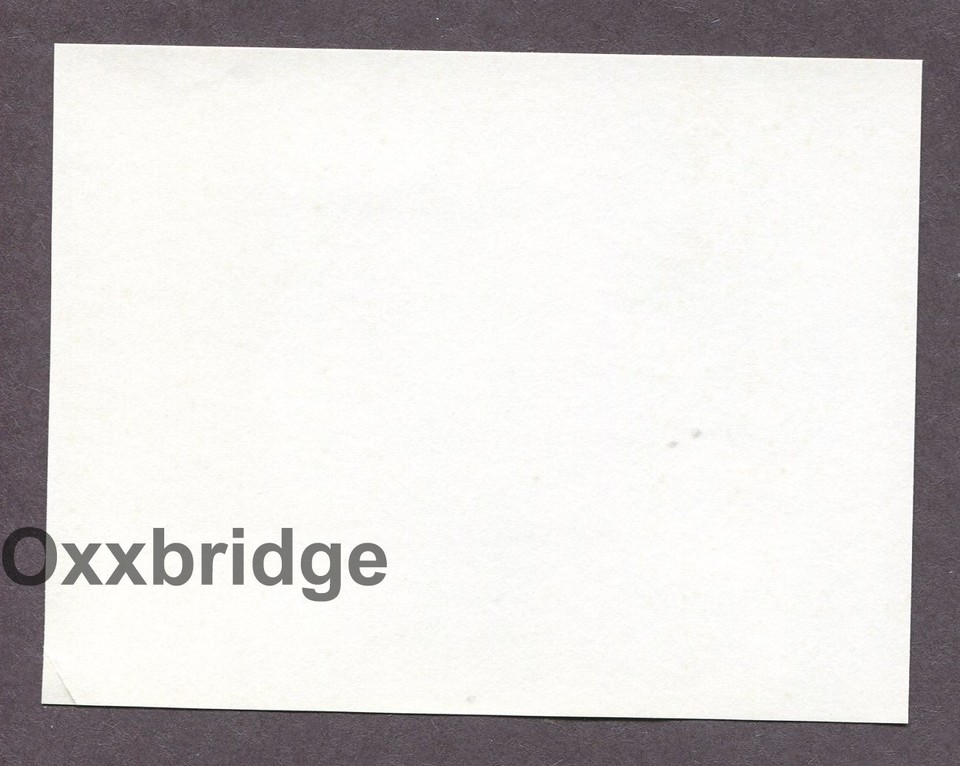 Sensual Female Great Breasts 1950 Original Nude Vintage Pinup Photo