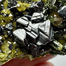 49 Gram Ultra Rare Magnetite W/Vesuvianite & Andradite Garnet Crystals From Afg